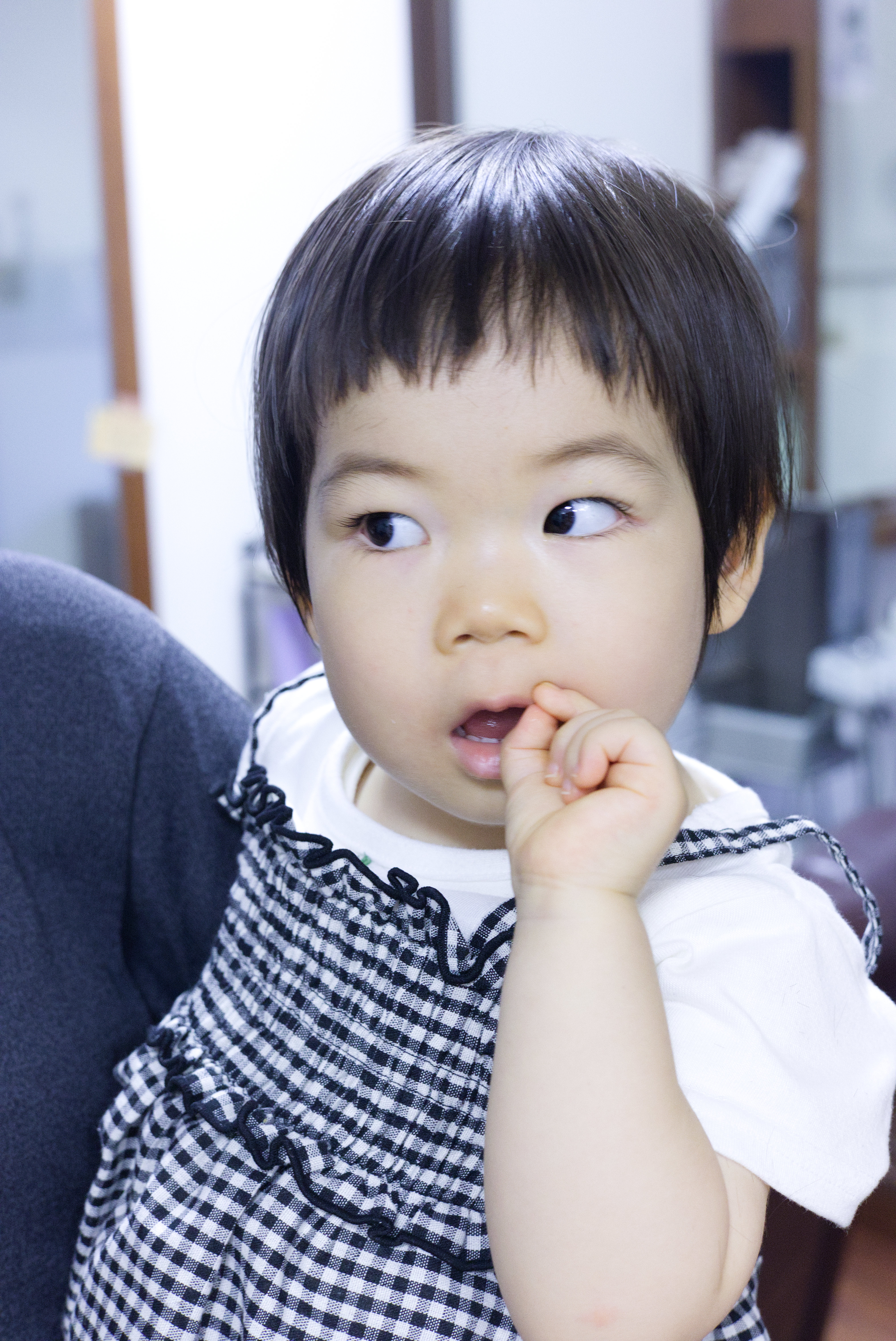 うたちゃん